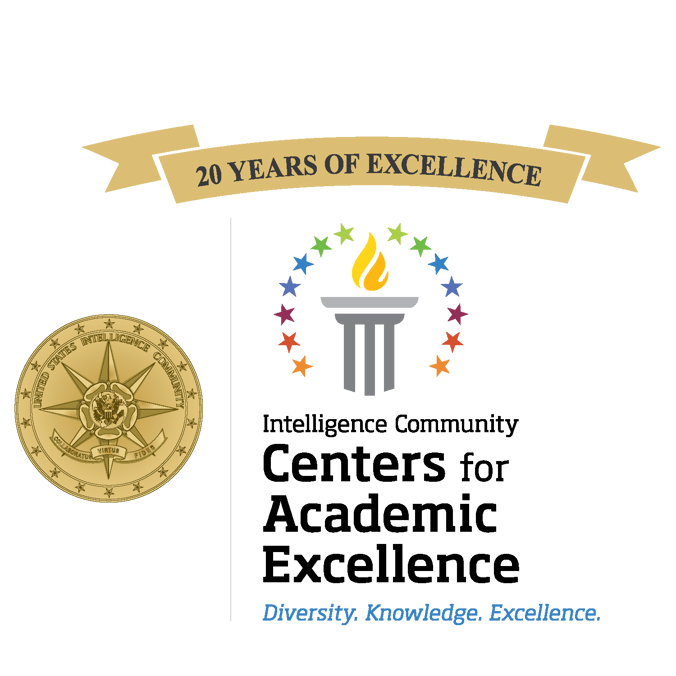 IC CAE Logo
