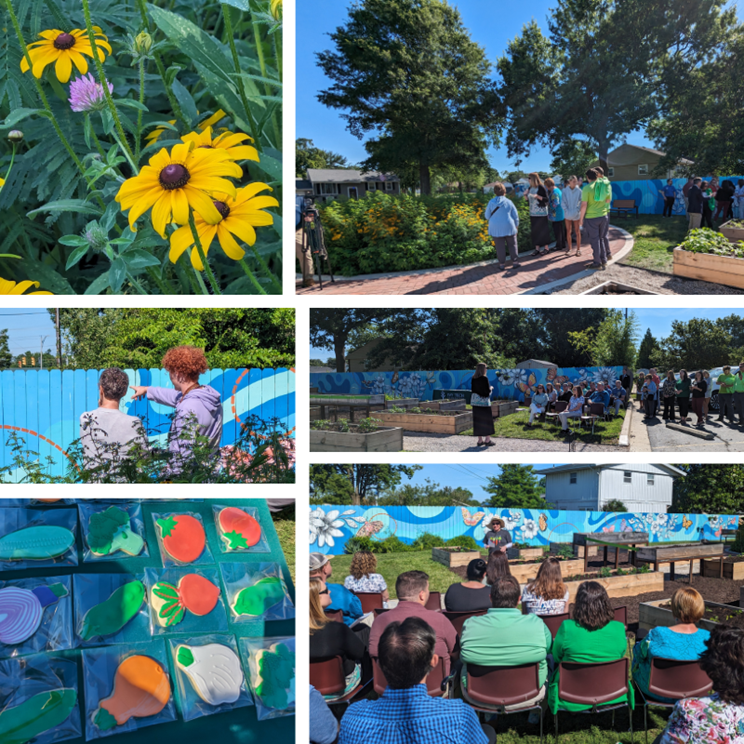 Attendees of the dedication of Gloria's garden explore.