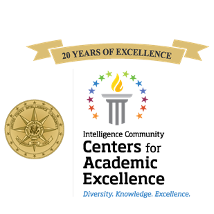 ICCAE Excellence Logo